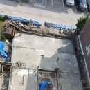 삼박한집 이미지