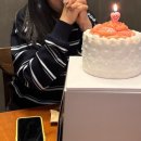 소산스테이 | 11월 일상모음
