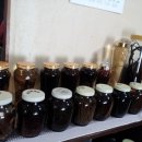 마가목민박 이미지