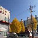 티스테이션 촉석로점 네이버블로그
