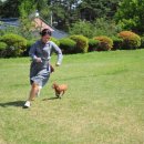 멍멍이가족 이미지