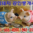 이조공인중개사사무소 이미지