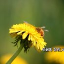 시연기획