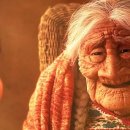 코코(coco) 이미지