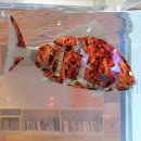 부천로보파크 이미지