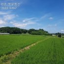 장성 공인중개사사무소 이미지