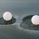 신대호수 이미지