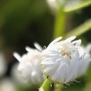 시방