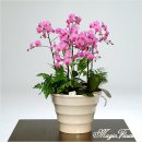 아름다운세상 이미지