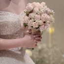 DAY U | [U R DAY] 결혼식 본식 아이폰스냅 유어데이 스냅 내돈내산 후기! 부모님 인생샷 남긴 진짜 이유...