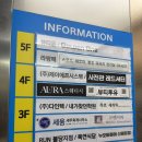 천안불당하나동물약국 | 천안반려동물사진으로 유명한 천안사진관 레드셔터 천안불당점 고양이프로필사진 촬영후기✨
