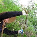 기운농장 이미지