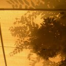 길손민박 이미지