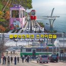 송정 | 부산 해운대 블루라인파크 스카이캡슐 예약 필수 해변열차 미포 청사포 송정 후기