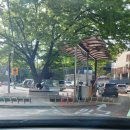 초봉한우 이미지