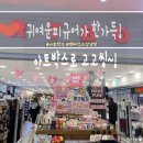 아트박스는 매번 그냥 지나칠 수 없지! /강남고속 터미널 엔터식스 강남점