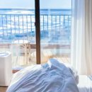 알음알음제주 이미지