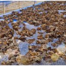 종덕농장 이미지