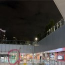 광교 데이트 맛집 ‘아마노’ 후기 분위기 좋은 레스토랑 추천