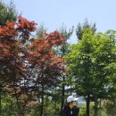 화산체육공원2 이미지