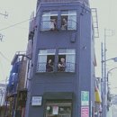 아르밤 펫 | 신부전 고양이 집사 10월 초 일상 | 추석 연휴 있었는데요 없어졌습니다