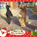 옥토어린이집 이미지