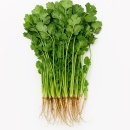 셰프의 정원 이미지