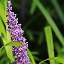 노송농원 이미지