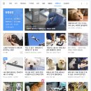 봉구PC 이미지