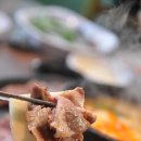 와규마리채 이미지