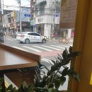 빽다방왜관역점 | 왜관역 빽다방 체리콕콕!? 체리맛이 나는 콜라? 이거 닥터펲
