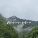 방화동휴양관 숲속의집