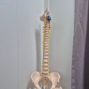 더컨디셔닝 광장점 | 위례마사지 체형관리 카라콜 컨디셔닝 후기