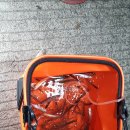 상지리 | 충북 옥천 빙어낚시 후기 (명경저수지, 장찬저수지) 이제 빙어낚시는 끝인거 같네요 ㅠㅠ