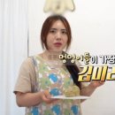 독스포드(Doxpord) | 생활의달인 강아지 케이크 달인 가게 어디, 전화번호 주문 방법 알아보기 - 김미리 달인