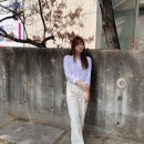 하네(HANE) 이미지