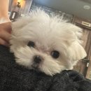 갓파스시 구로디지털단지점 이미지