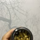 히이즈제이
