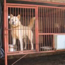 귀선농장 이미지