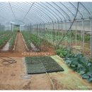 연당5리마을회관 이미지