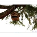 리각미술관 이미지