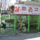 참조은 고기 이미지