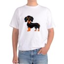 허쉬퍼피 이미지