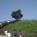 등대목장 이미지