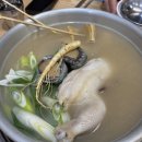 최가네삼계탕 | 추운 겨울에 생각나는 종로 삼계탕 맛집 추천 | 한민국 닭한마리
