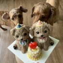 꾸움멍 | [공지] [창원 강아지 케이크] 세상에 하나뿐인 1:1 주문제작 생일 기념일 반려동물 케이크 "꾸움멍"