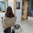 보아스미용실 이미지