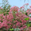 새재골가든 이미지