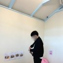 퍼피힐(PUPPY HILL) 이미지