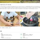 솔다박마을 이미지